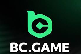 Step-by-Step Guide to the BC.Game KZ Registration Process